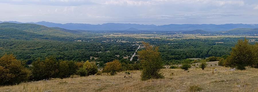 marina glava